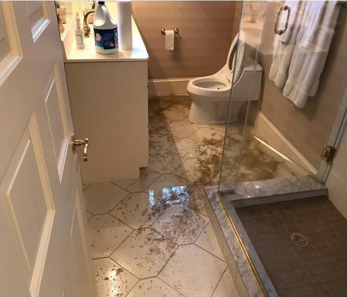 A staff bathroom in a Mall Jewelry Store flooded