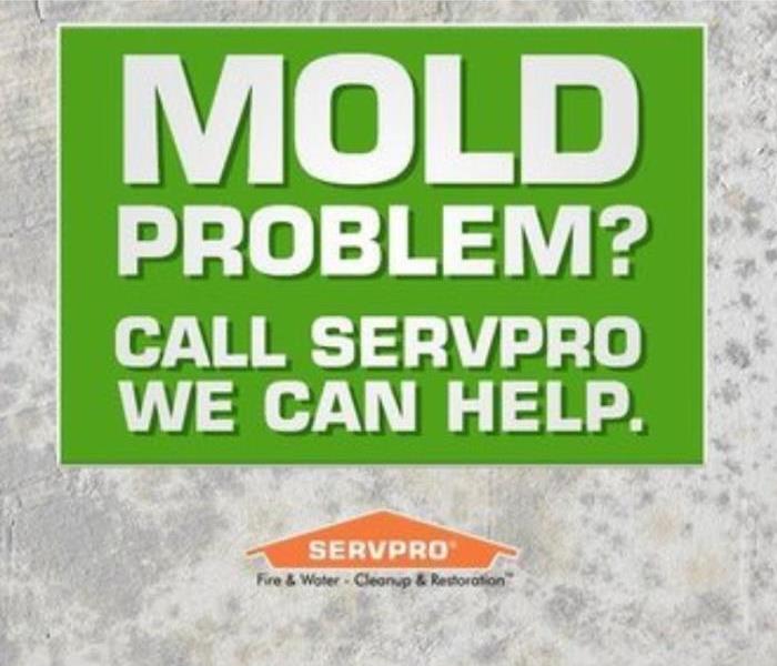 Mold Problem - Call SERVPRO - We can Help.