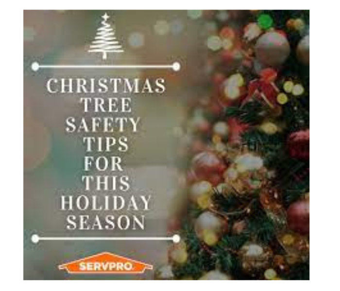 Christmas Tree with SERVPRO logo 